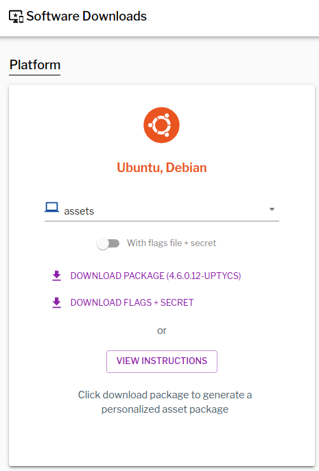 Download Flags + Secret from Uptycs.