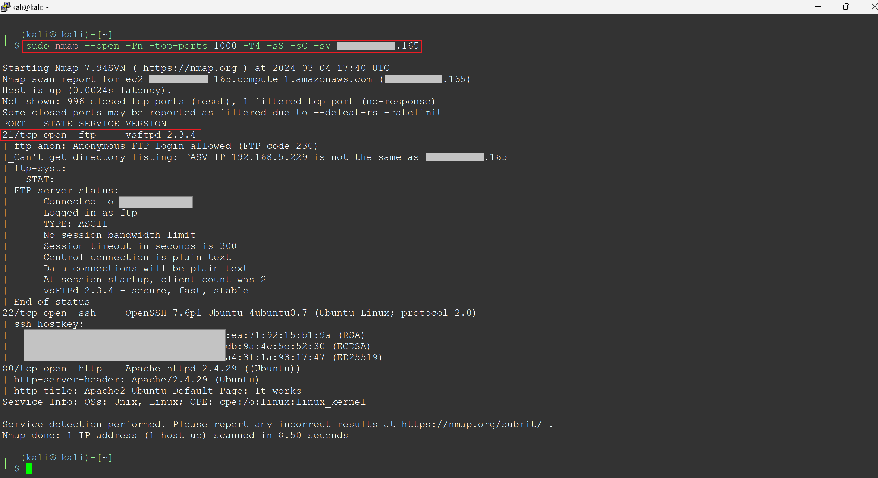 Attacker performing nmap scan on a target instance