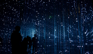 people in a starry field hero image
