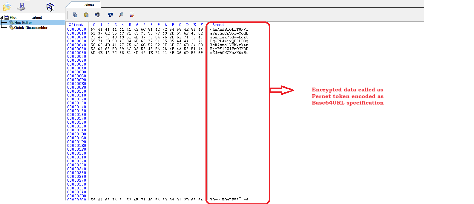 Figure 21 – Infected file