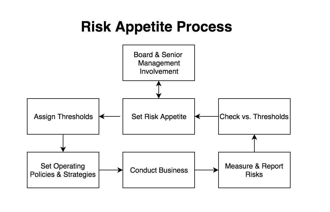 Risk appetite process