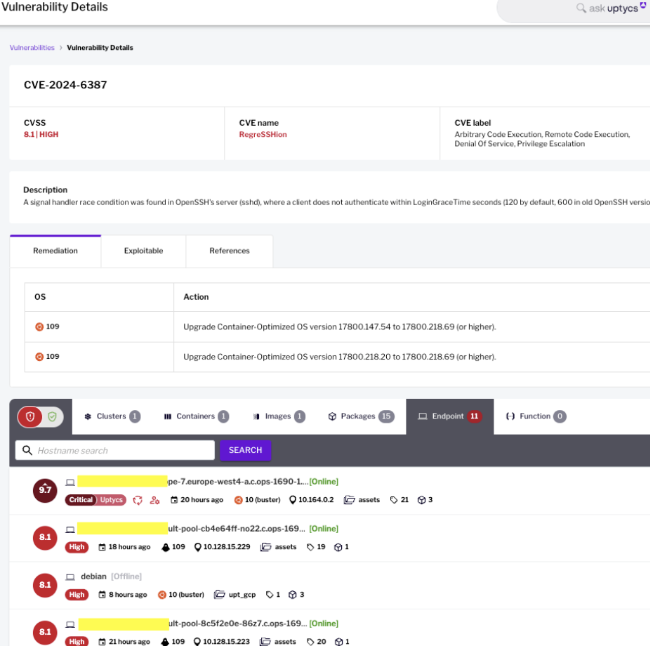 Vulnerability Details