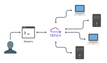 vector computer network hero image