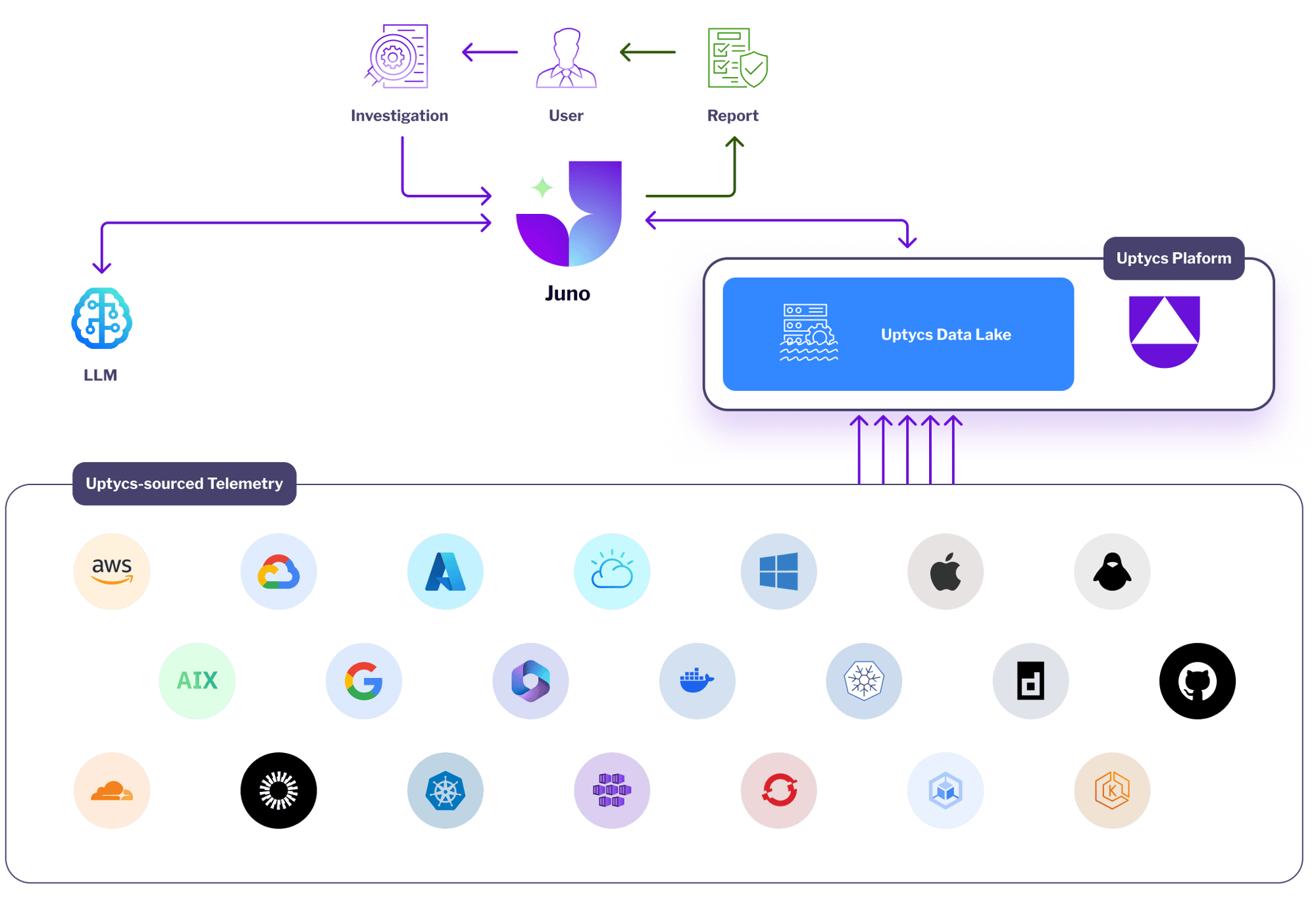 juno illustration wider@2x