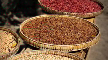 Baskets of grain