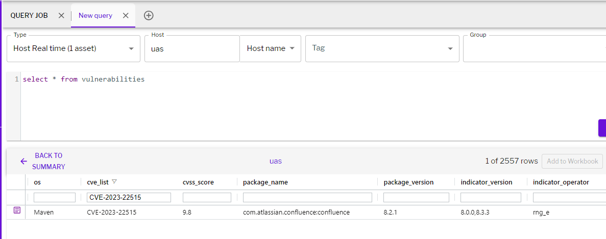 Figure 3 - Detection of CVE-2023-22515 using vulnerability scan