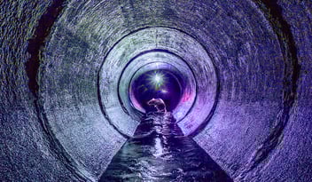 Rat in a tunnel staring at a quasar star