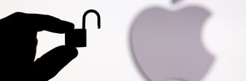 holding a tiny lock in front of the apple logo hero image