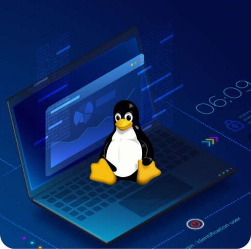 Unleashing the Power of eBPF Capabilities for Linux Endpoint Security